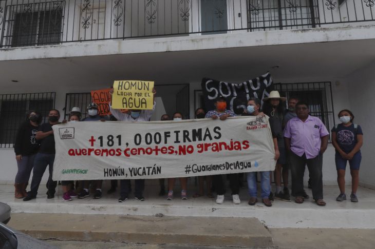 Entregan más de 181 mil firmas en contra de afectaciones de granjas de cerdos en Homún